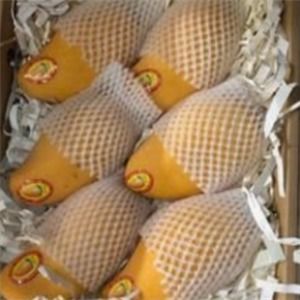 鮮果鋪加盟費(fèi)用和加盟前景分析